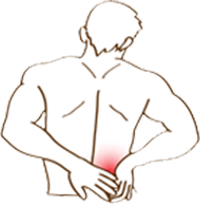Lower Back Illustration