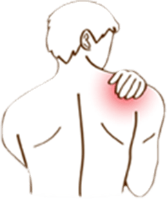 Shoulder Illustration