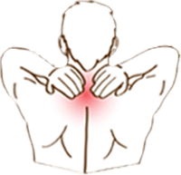 Upper Back Illustration